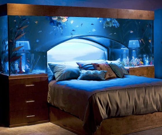 Feng shui advises against a fish tank in the bedroom or kitchen. aquarium bed not suitable for feng shui - Benefits of Keeping a Fish Tank and the Science and Feng Shui Behind It
