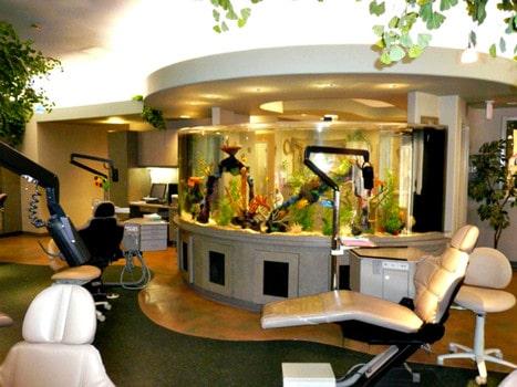 A fish tank in a dental office can calm you and improve your overall experience with the dentist. Aquarium in dental office - Benefits of Keeping a Fish Tank and the Science and Feng Shui Behind It