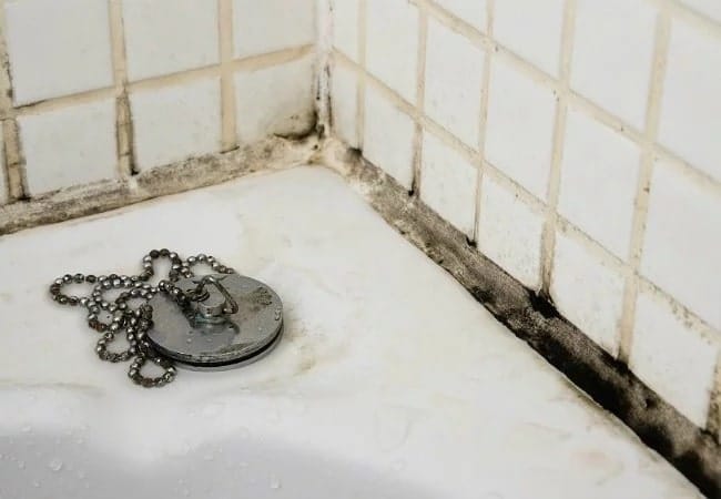 Modern day bathrooms will have problems with black mold if there’s no proper ventilation. Black Mold in modern Bathroom bad feng shui min - Do Restrooms and Bathrooms Really Bring Bad Feng Shui?