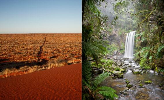 The feng shui of our natural environment has a great impact on our mind and body. Desert and forest - Feng Shui Explained from a Modern Perspective