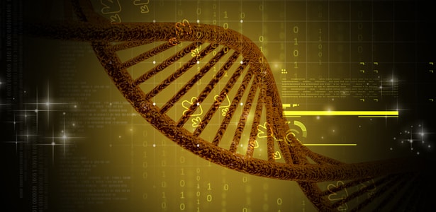 If the Feng Shui’s Kua is akin to a physical examination, the Bazi is now a complete lab report with blood tests and gene profiling. DNAStrand with data and code embedded min - How Bazi Helps You Get Better and Faster Feng Shui Results