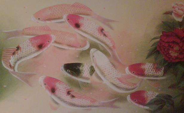 Most popular tip is having 9 fishes with one of them black. feng shui nine fish one black - Benefits of Keeping a Fish Tank and the Science and Feng Shui Behind It