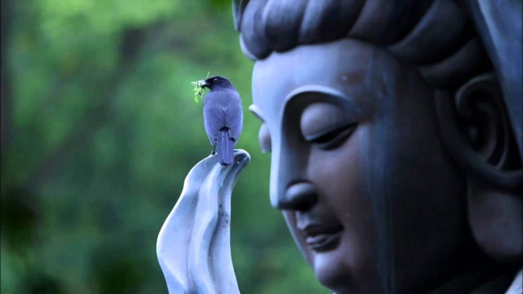 Some people find peace and calamity when looking at a Buddha statue. Great Compassion Buddha Kuan Yin Statue min - 30 Feng Shui Products & Items: Meaning, Use, and Placement