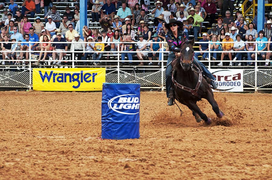 When horses are traveling at a high speed, it can be quite difficult to make a sharp turn. Horse making a turn at high speed - Is the Feng Shui of Houses Facing T-Junction Really That Bad?