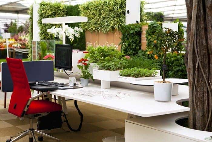 Though a bit overdone, how would you feel if your workplace looked something like this? office plants improves productivity - A Simple Guide to Feng Shui Indoor Plants
