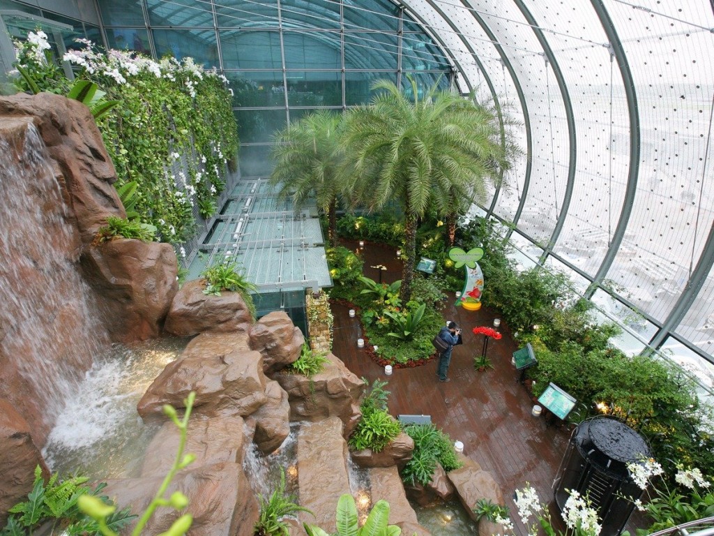 The butterfly garden of Singapore Changi Airport. Singapore Changi Airport Butterfly Garden Nature 1024x768 - Top 10 International Airports with Awesome Feng Shui