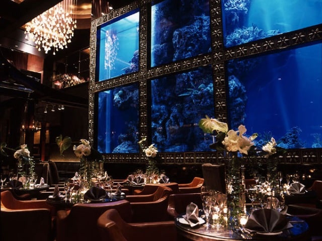 Luxis – an aqua bar and restaurant in Japan. Tokyos restaurant with aquarium - Benefits of Keeping a Fish Tank and the Science and Feng Shui Behind It