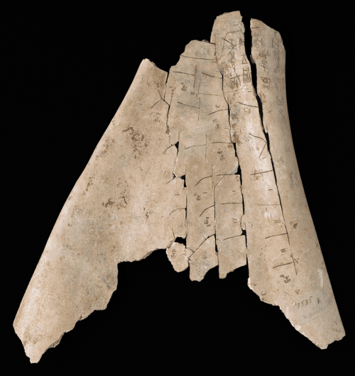 Shang Dynasty Oracle Bone, c. 1600 to 1050 BC. Image credit: British Library Board. Oracle bones shang dynasty - Does Using “Authentic” Feng Shui Really Matter?
