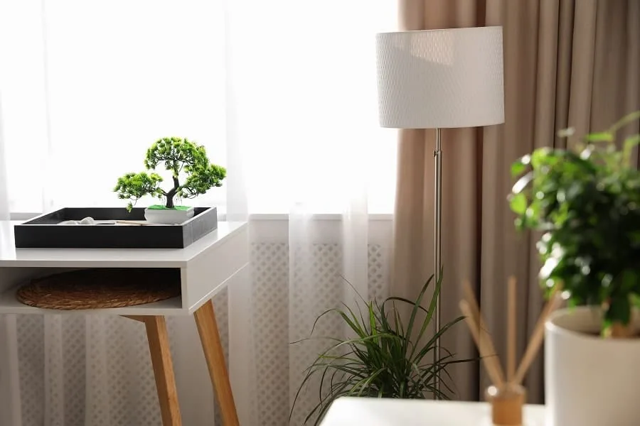 Feng Shui Health 2020
