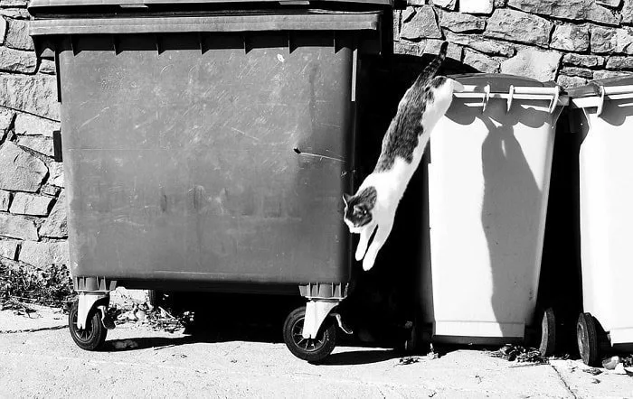 trash waste container public feng shui
